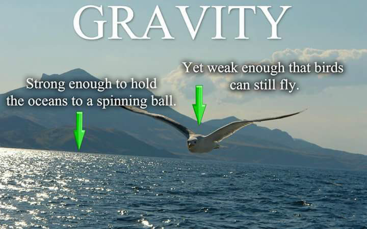 gravity-on-a-flat-earth.jpeg